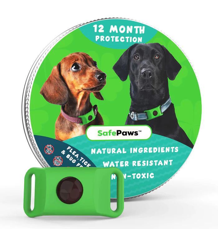 PETSAFE - COLLAR ANTIPULGAS +12 MESES
