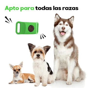 PETSAFE - COLLAR ANTIPULGAS +12 MESES