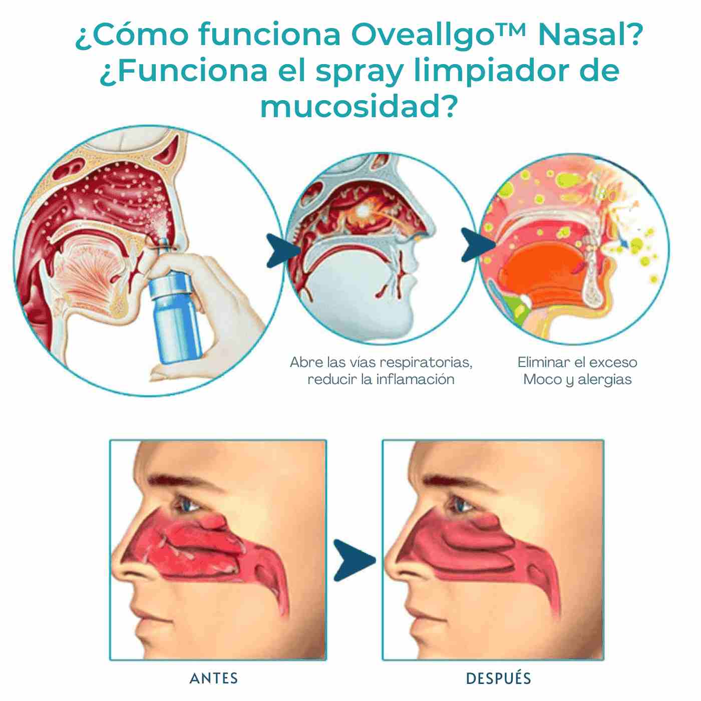 Gfouk • Spray limpiador nasal PAGA 1 LLEVA 2
