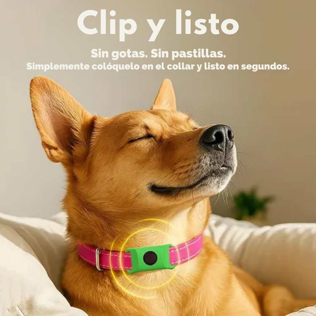 PETSAFE - COLLAR ANTIPULGAS +12 MESES