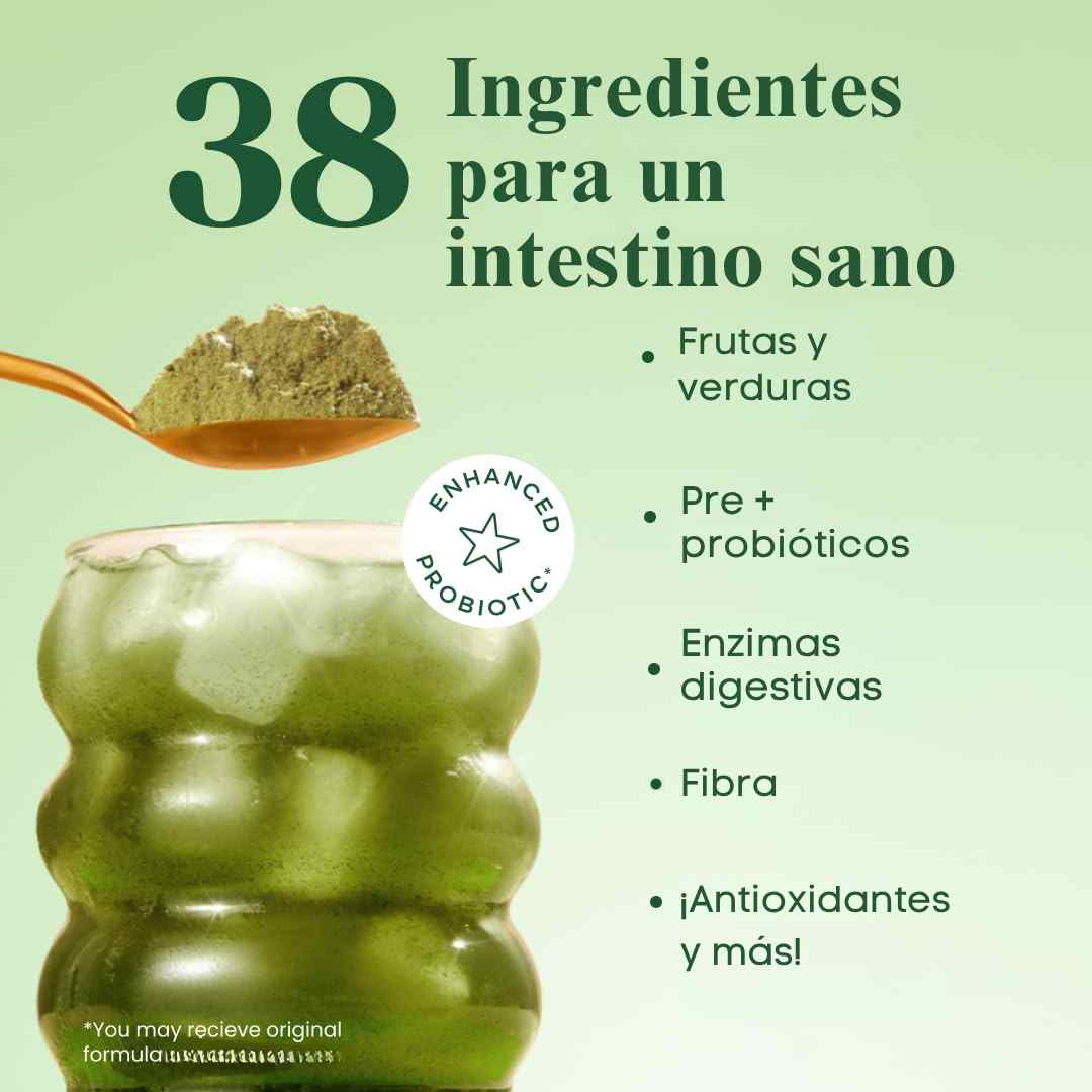 Bloom™ – Energía y Digestión Natural