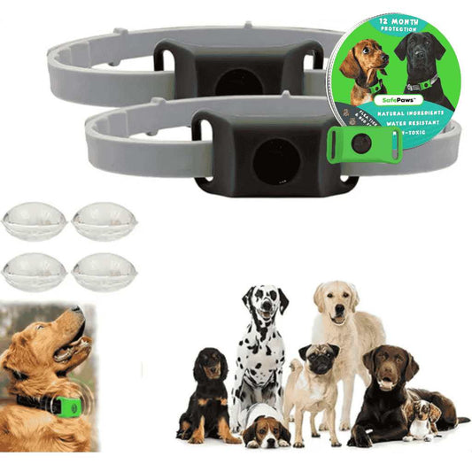 PETSAFE - COLLAR ANTIPULGAS +12 MESES