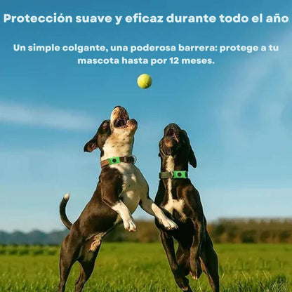 PETSAFE - COLLAR ANTIPULGAS +12 MESES